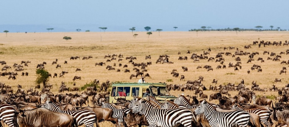 Tanzania wildlife viewing